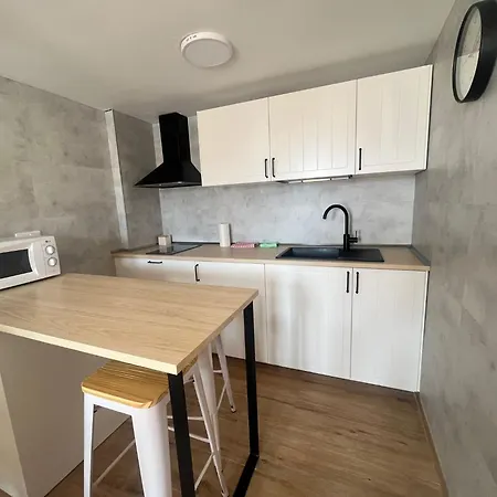 Ginebra Con Terraza Lejlighed