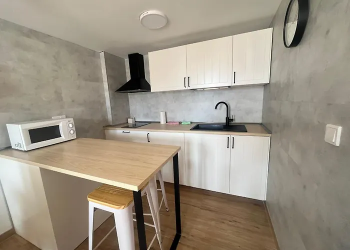 Ginebra Con Terraza Lejlighed